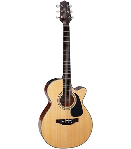 Amazon.com: Ibanez AW54CE - Open Pore Natural : Musical Instruments